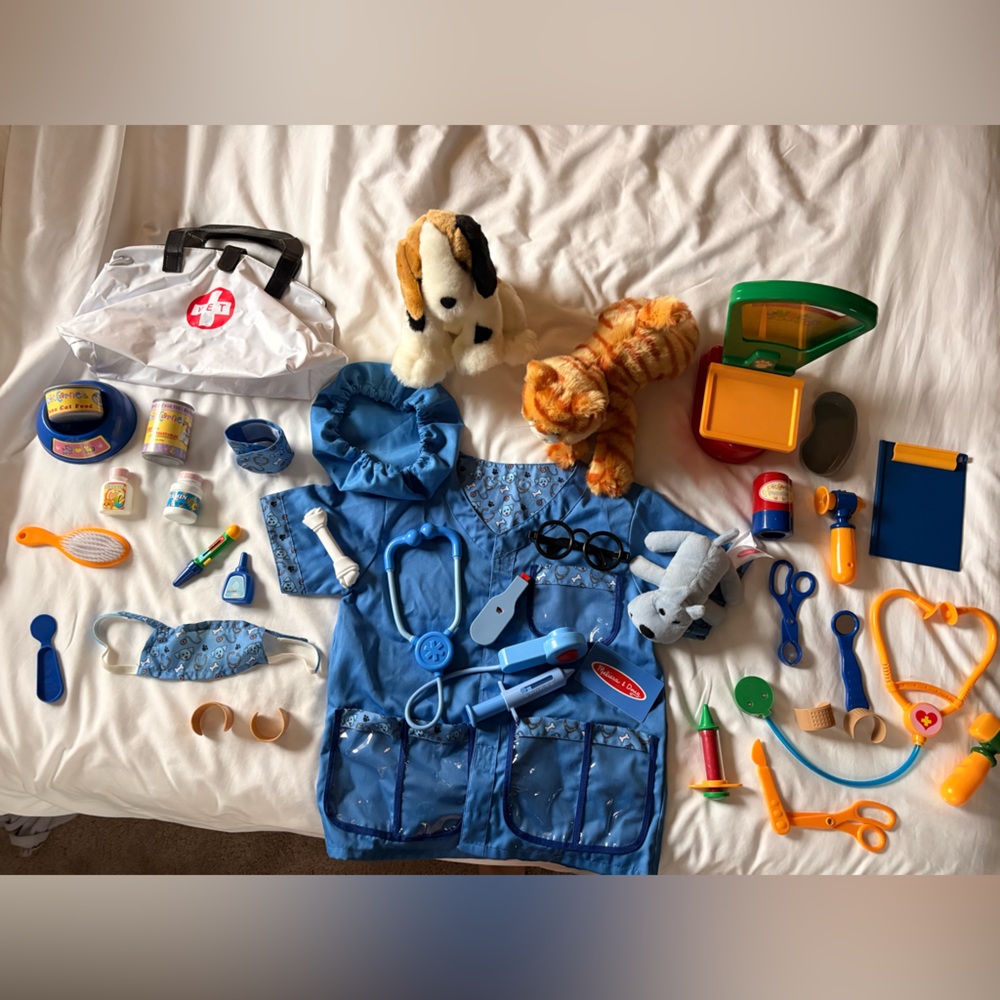 veterinarian play set